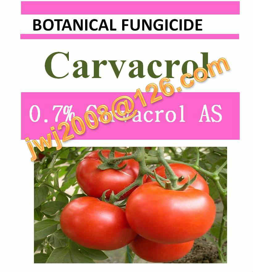 Sell Botanical Fungicide 1% Carvacrol AS