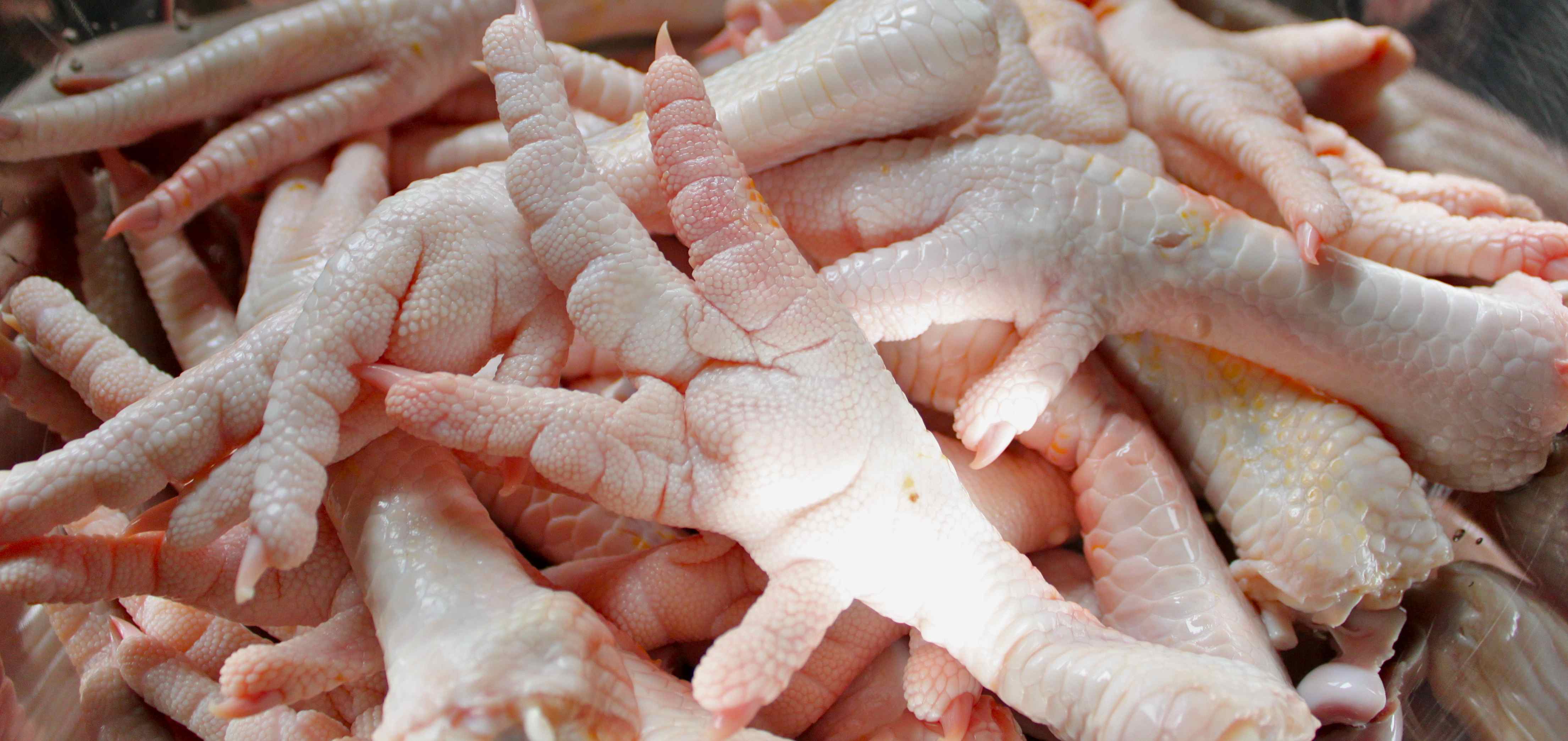 Grade A Chicken Feet And Other Parts For Sale