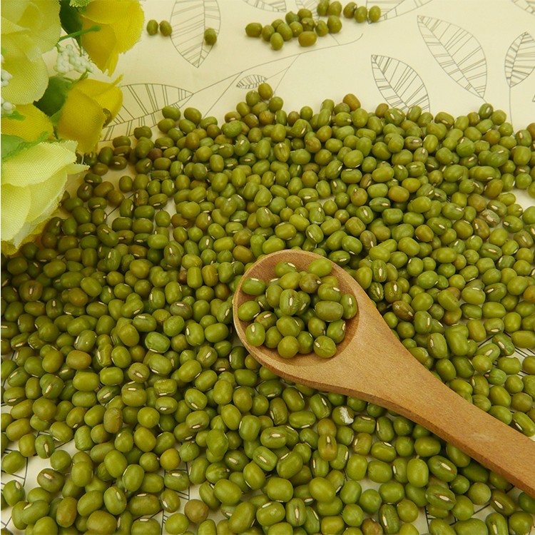 Green Mung Beans For Sale 