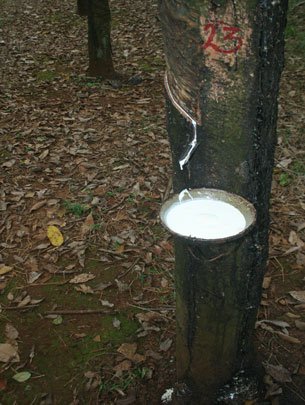 Natural Rubber Latex 60% DRC HA