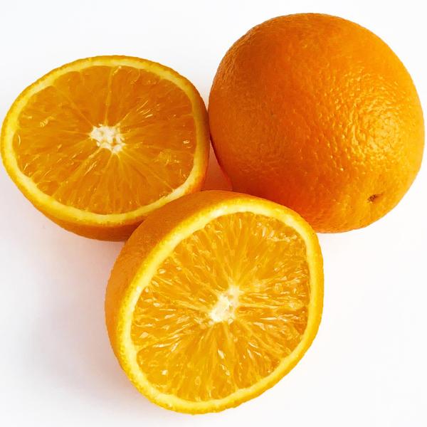 Fresh Citrus Oranges Valencia, Navel, Lemon