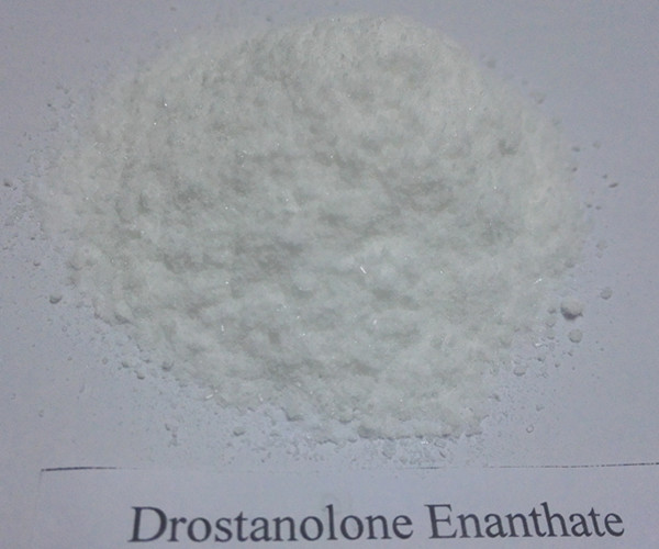 Best Quanlity Anabolic Hormone Steroid Drostanolone Enanthate