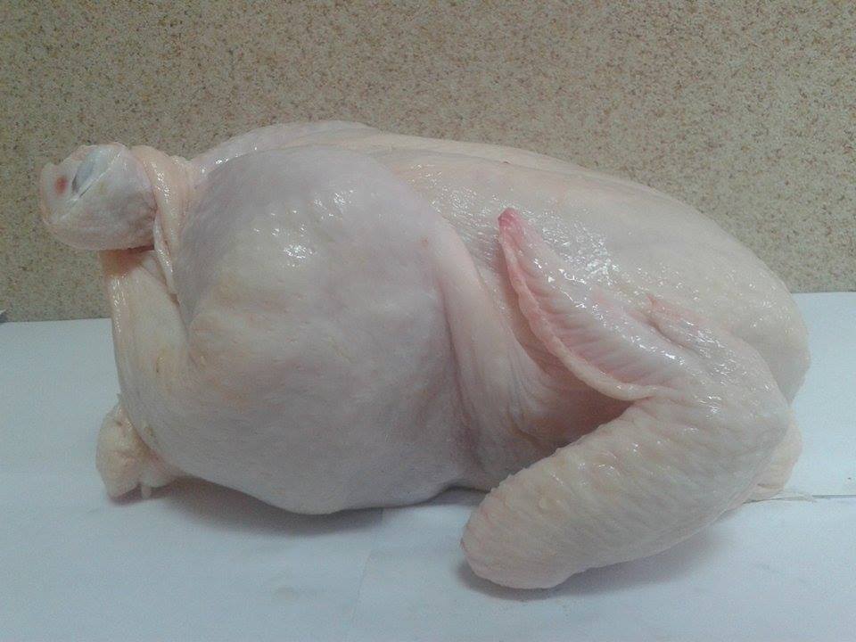 - Frozen Chicken(XALAL), Turkey, Duck And Goose, Semi-finished Products (Poland  And Ukraine)  