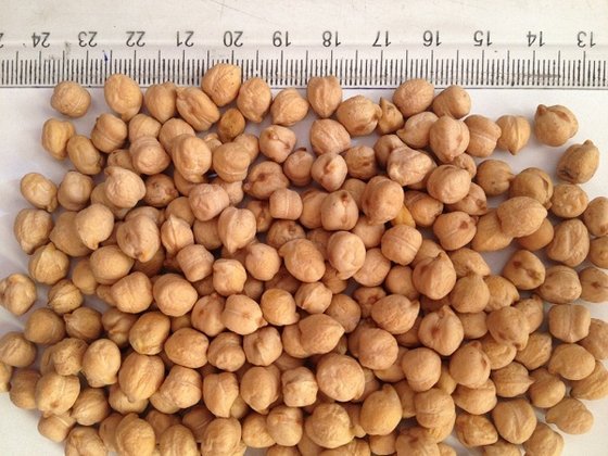Chickpeas,Walnuts,Brazzilian Nuts,Kabuli Chickpeas,Green Peas,Roasted Chickpeas,Desy Chickpea