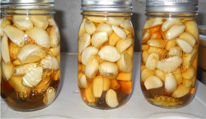 Canned Garlic In Vinegar