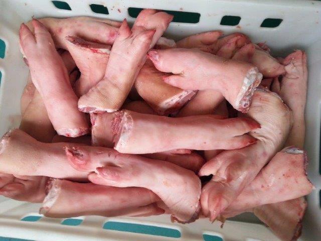 Frozen Pork Front Feet From Chile