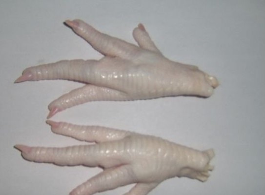 Grade A Processed Frozen Chicken Paws