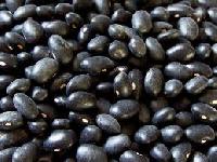  Thailand Small Black Kidney Beans 