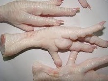 High Quality Whole Halal Frozen Chicken Supplier From Thailand Frozen Whole Chicken For Sale
