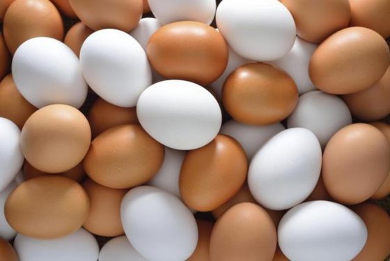 Chicken Eggs, Quality Organic Fresh Chicken Table Eggs.
