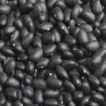 Black Dried Kidney Beans