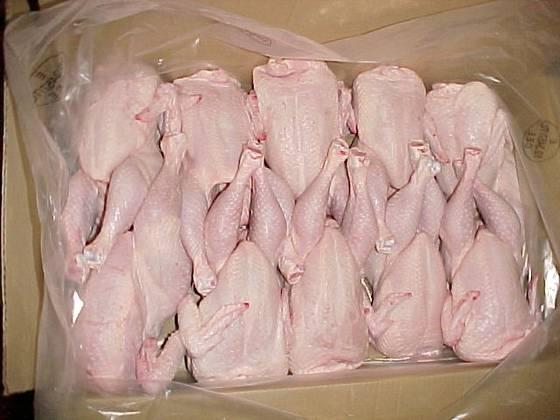 Frozen Whole Chicken From Brazil (SIF Plant)