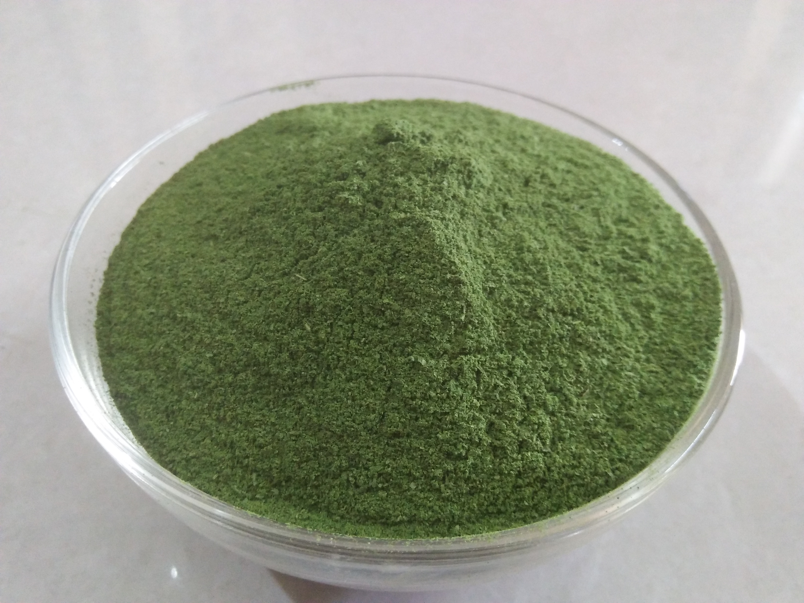 Moringa Products - Solar Dried Leaves, Tea Cut, Powder, Oil Etc., In Bulk Supply.